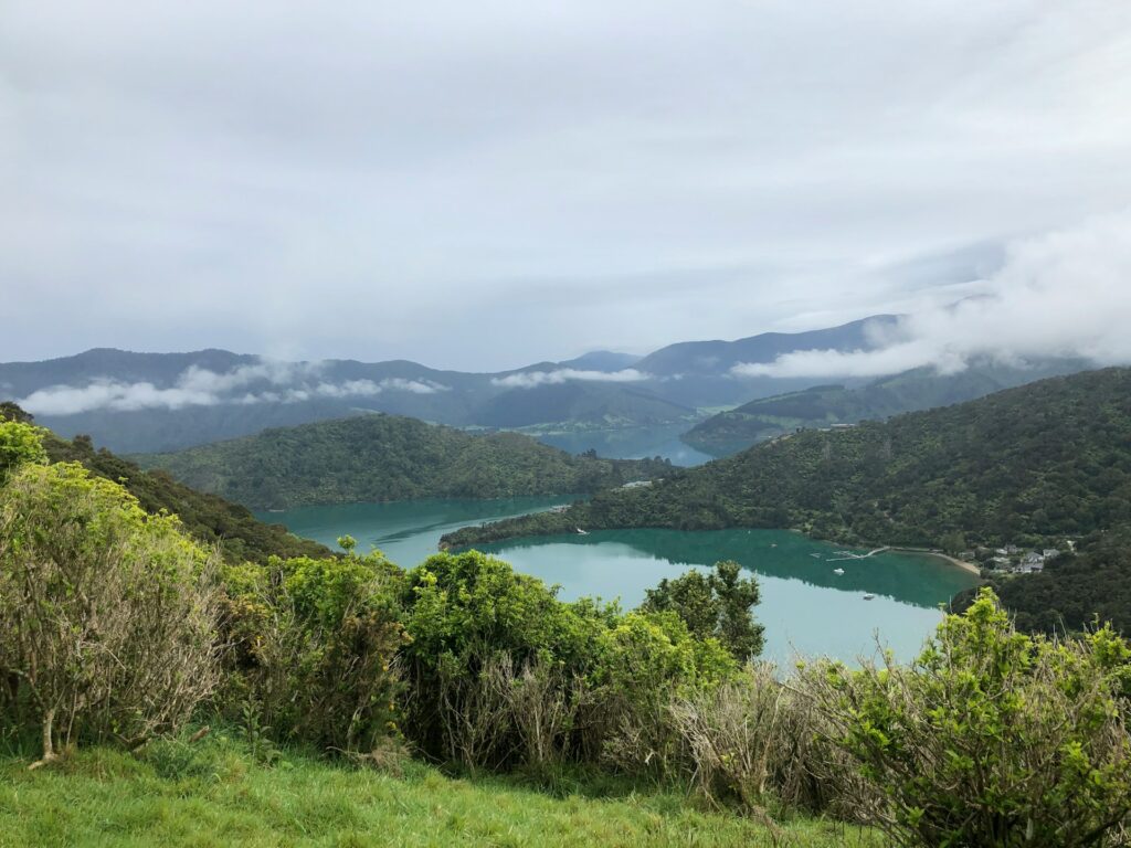 Queen Charlotte Track in New Zealand